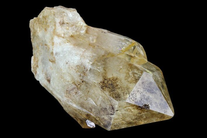 Citrine Quartz Crystal Cluster - Lwena, Congo #128411